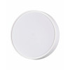 Plafoniera Hatton da esterno 2 luci E27 IP65 Fabas