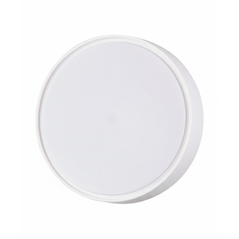 Plafoniera Hatton da esterno 2 luci E27 IP65 Fabas