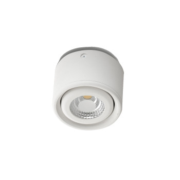 Faretto LED Anzio 1 luce bianco CCT Fabas