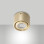 Faretto Anzio LED integrato ottone satinato Fabas