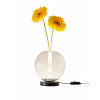 Lampada da tavolo Wengen cognac LED 7 W Fabas