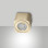 Fabas Palmi plafoniera faretto LED 6W ottone satinato