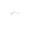 Plafoniera da esterno LED Gian bianca IP54 Fabas