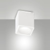 Plafoniera Coiba LED bianca 2 luci Fabas
