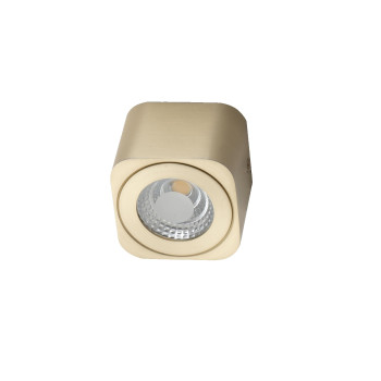 Fabas Palmi plafoniera faretto LED 6W ottone satinato